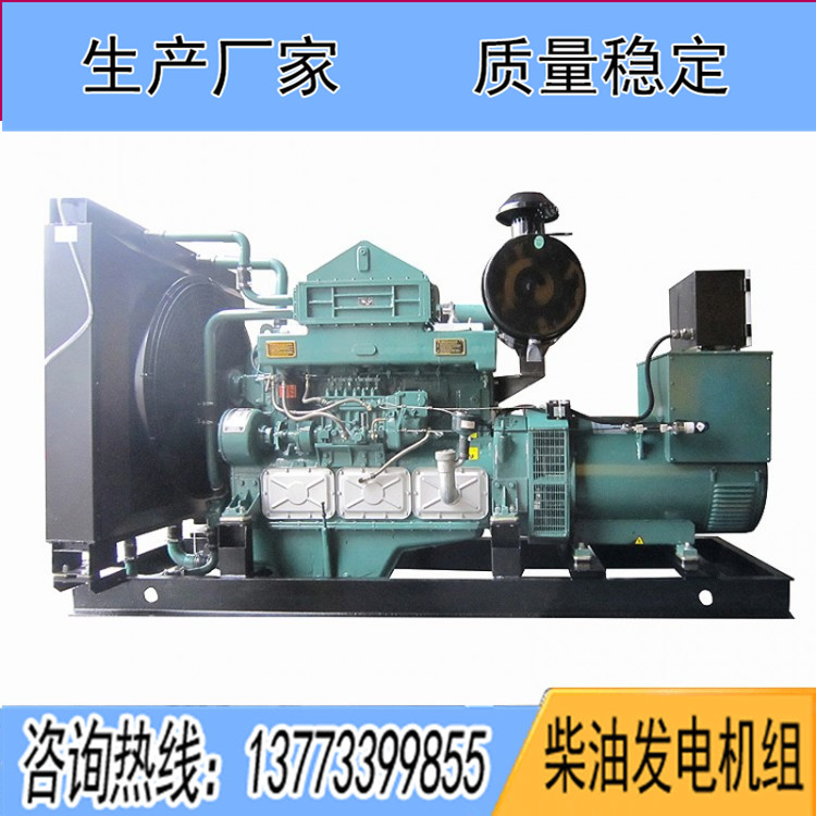 通柴帕歐300KW柴油發(fā)電機組